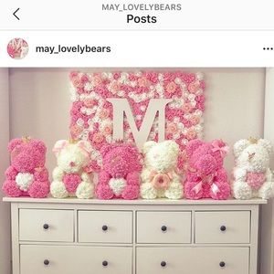 Roses teddy bears 🧸🎀